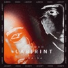 Labirint (feat. IRAIDA) - Single