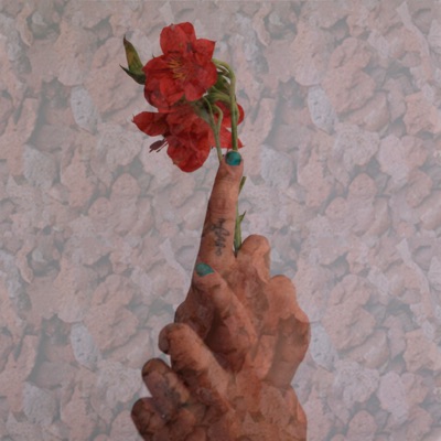 A Flor de Piel (Remasterizado) [feat. Cpradoo] - Single
