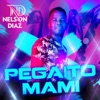 Pegaito Mami - Single