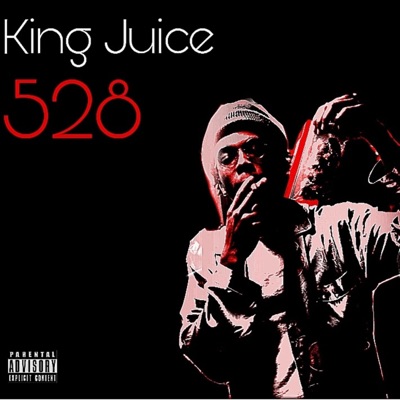 528