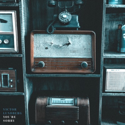 You're Sorry - Single