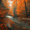 River Flow in You - Luciano Miller