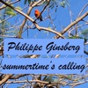 Philippe Ginsberg - Summertime's Calling