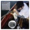 Romance - Ruede Hagelstein & The Noblettes lyrics