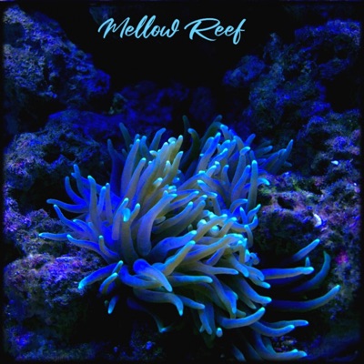 Mellow Reef (feat. Gatz2Gatz) - Single