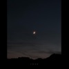 Taina - Single