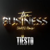 The Business (SWACQ Remix) by Tiësto