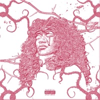 Still a Rose - Single - Yoshi Vintage