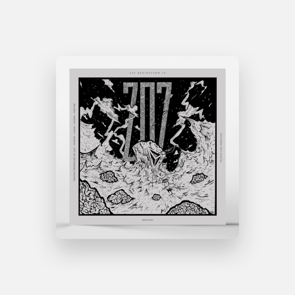 207's avatar