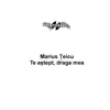 Marius Teicu - Fotografia