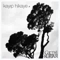 Kayıp Hikaye
