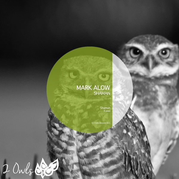 Shaman - Single