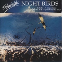 Night Birds - SHAKATAK