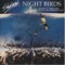 Night Birds - SHAKATAK lyrics