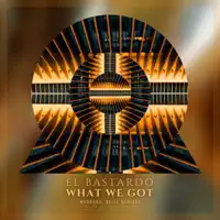 WHAT WE GOT (FEAT. BIBI SANCHEZ) [MADRAAS REMIX]
