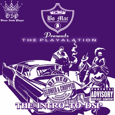 Bo Mac Presents: The Playalation Intro To D.S.P. (Slowed & Chopped)