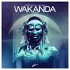 Wakanda (Warriors Remix) - Single