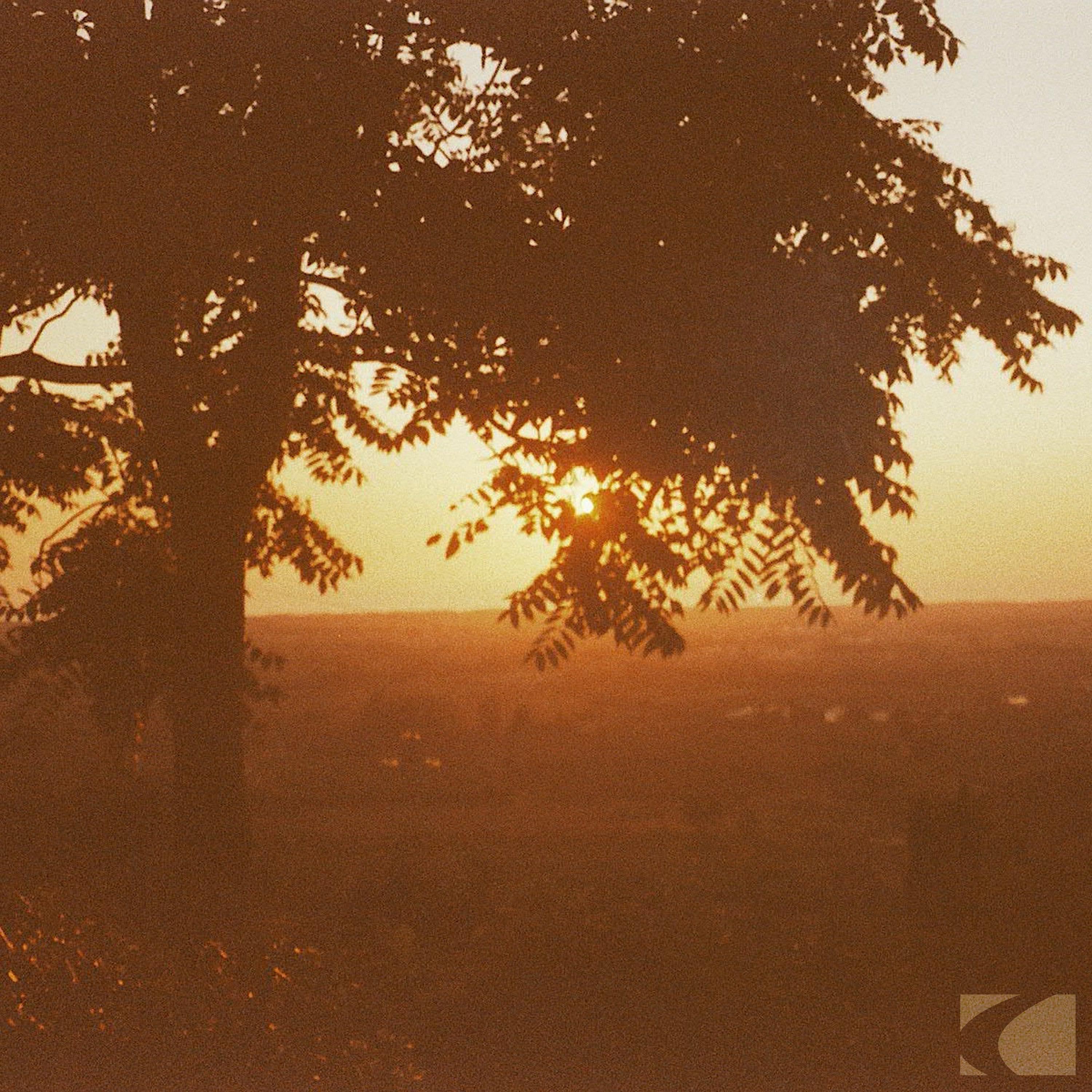 For Lack of Better Folly - EP