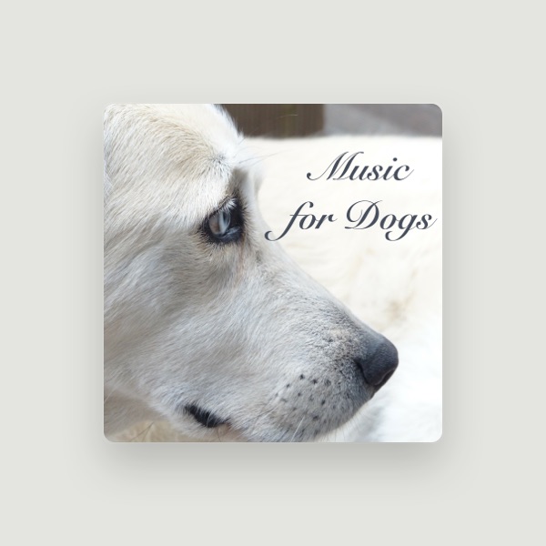 Dog Whisper's avatar