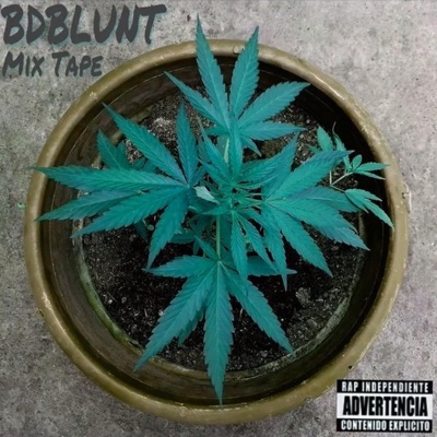 BDBLUNT - EP