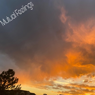 Mutual Feelings - Single