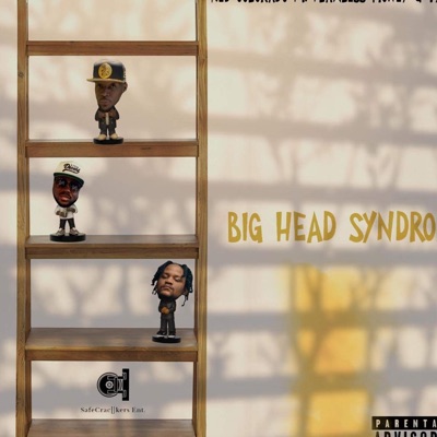 Big head syndrome (feat. Flawless Money & Tytanik) - Single