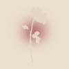 My Commitments - Single