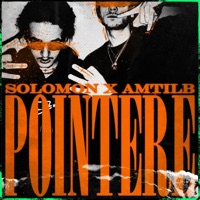 Pointere - Single - Solomon & Amtilb