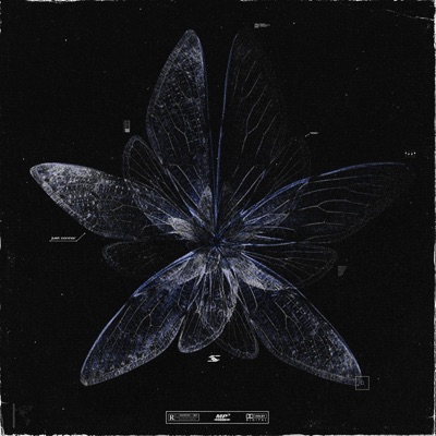 Refresh - Single