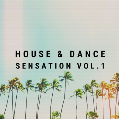House & Dance Sensation Vol. 1