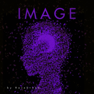 Image - Single