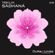 Sadhana Single