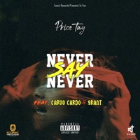 Never Say Never (feat. Carvo Cardo & Grant) - Single - Price Tag