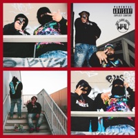 KnockemDown Freestyle (feat. KnockemDown Tone) - Single - Dom Perryon