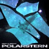 Polarstern (feat. REECO) - Single