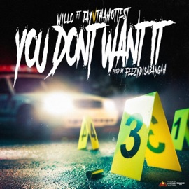 You Don't Want It (feat. Jayvthahottest) Willo