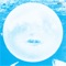 summerteeth (Deluxe Edition)