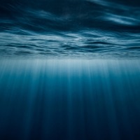 Coral Reef - Single - Sam Cross & Jfbm