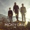 Shells - Mighty Oaks lyrics