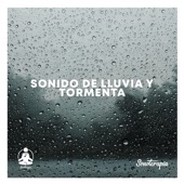 Sonido de lluvia y tormenta, Pt. 8 artwork