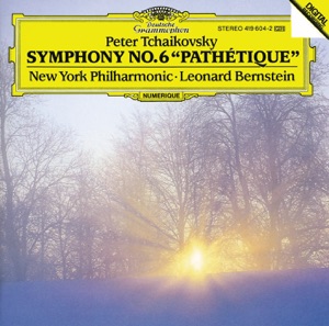 Symphony No. 6 in B Minor, Op. 74, TH. 30: I. Adagio - Allegro non troppo - Andante - Moderato mosso - Andante - Moderato assai - Allegro vivo - Andante come prima - Andante mosso