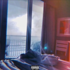 Organic Blaze TopBran