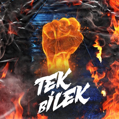 Tek Bilek (feat. Desti, Mutant, Bsmoke, Stanzi, Hype & İdes) - Single