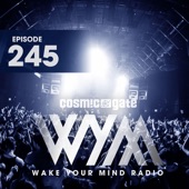 Wake Your Mind Radio 245 artwork