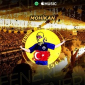 Fenerbahçe Mohikan artwork