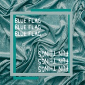 Blue Flag / Fun Things artwork