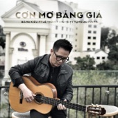 Cơn Mơ Băng Giá (feat. Lê Thành Trung & Tùng Acoustic) [Acoustic] artwork