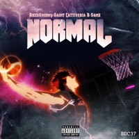Normal (feat. Saint Cattiveria & B Sanz) - Single - RiccoShinny