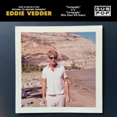 Eddie Vedder - Cartography (Nick Zinner RFK Remix)