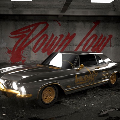 Down Low - Single